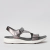 Florrie - Pewter - CC Resorts