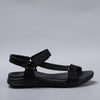 Floss01-Black Diamante Black Sole - CC Resorts