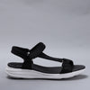 Floss01-Black Diamante White Sole - CC Resorts