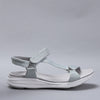 Floss01-Lt Grey Diamante - CC Resorts
