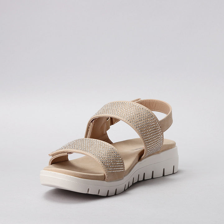 Dominic - Beige - CC Resorts