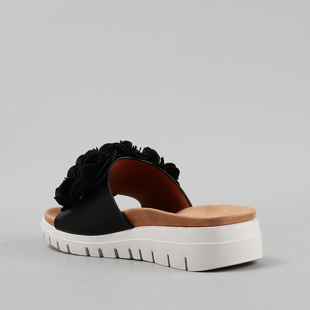 Domo - Black