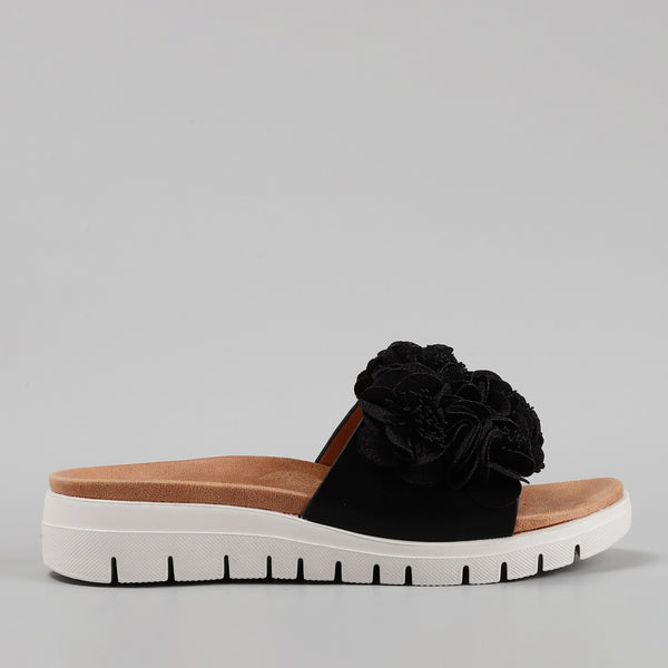 Domo - Black