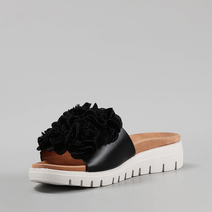 Domo - Black