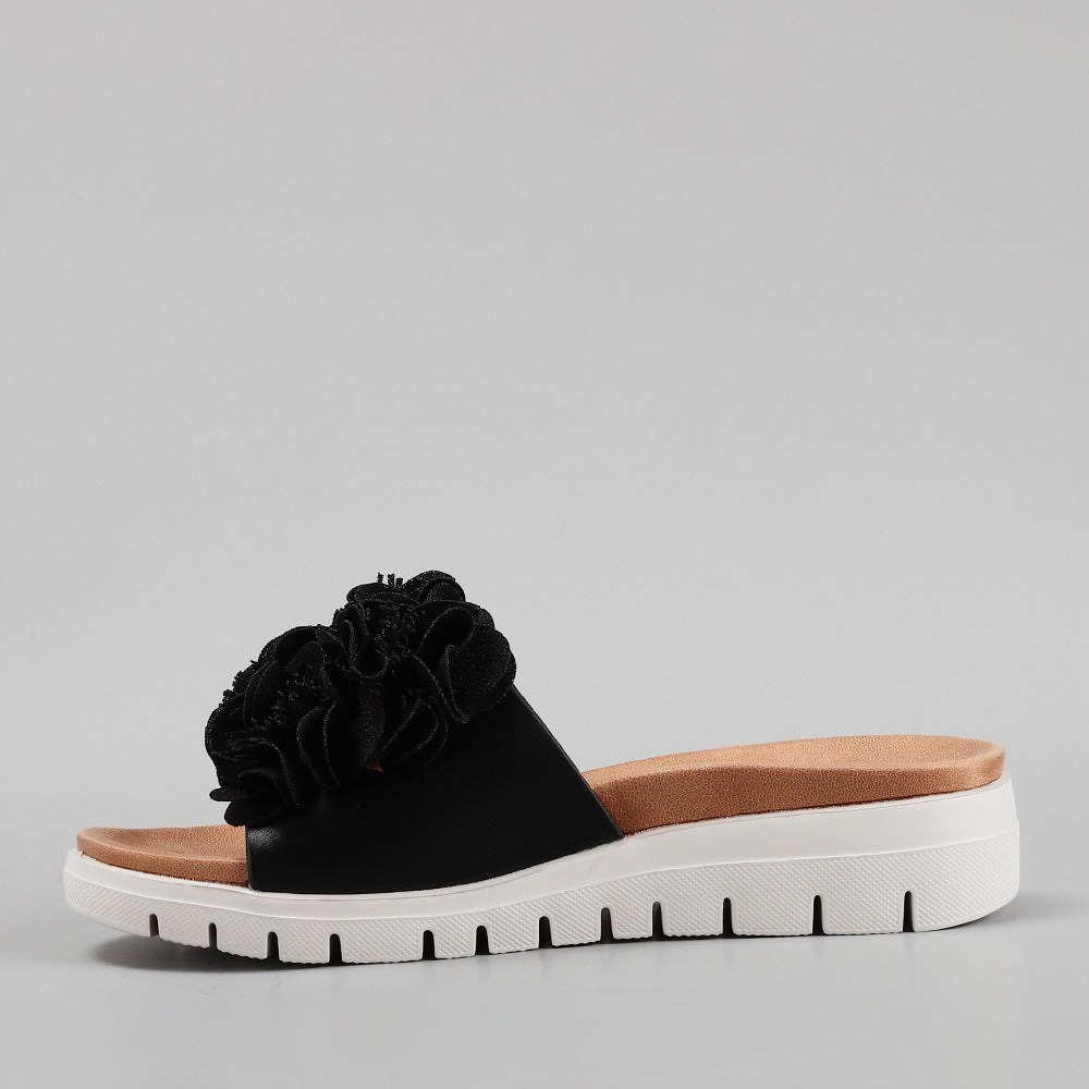 Domo - Black