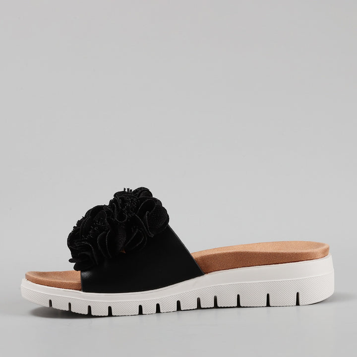 Domo - Black