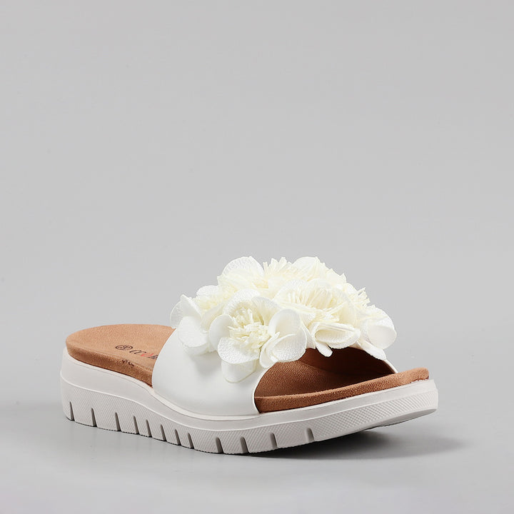 Domo - White