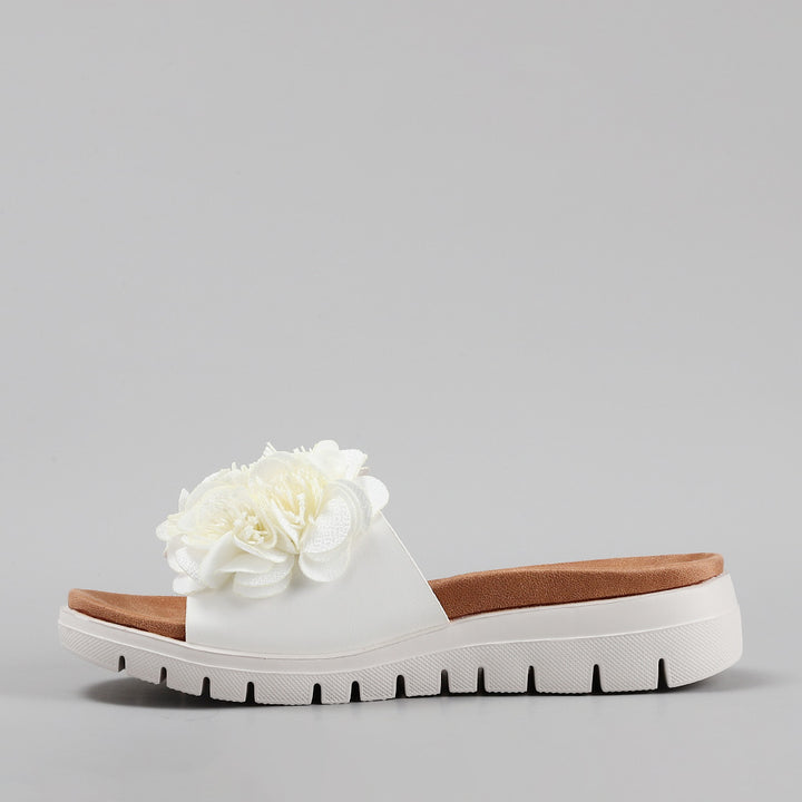 Domo - White