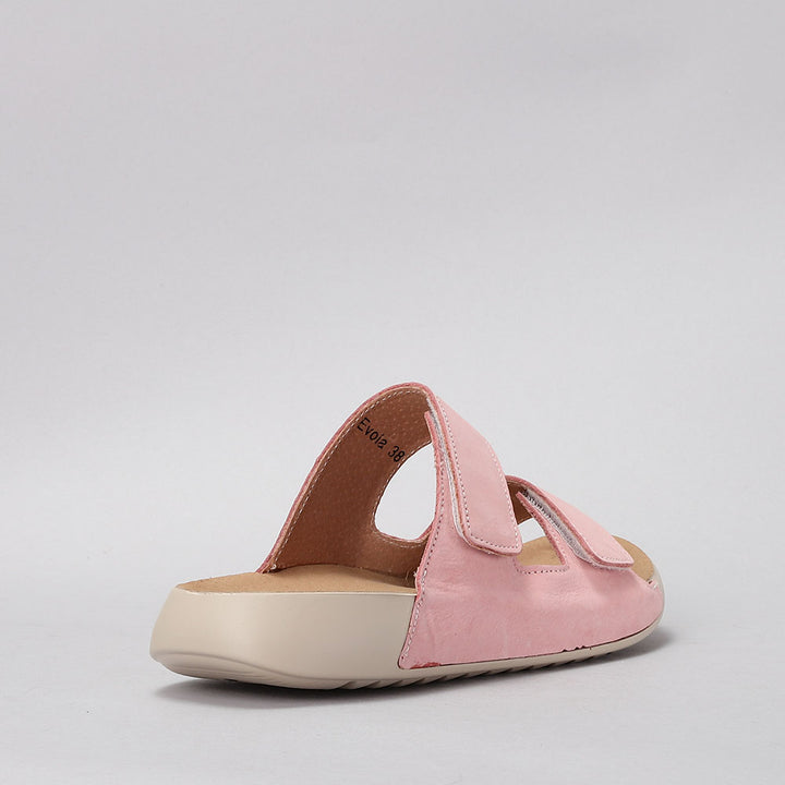 Evola - Pink - CC Resorts