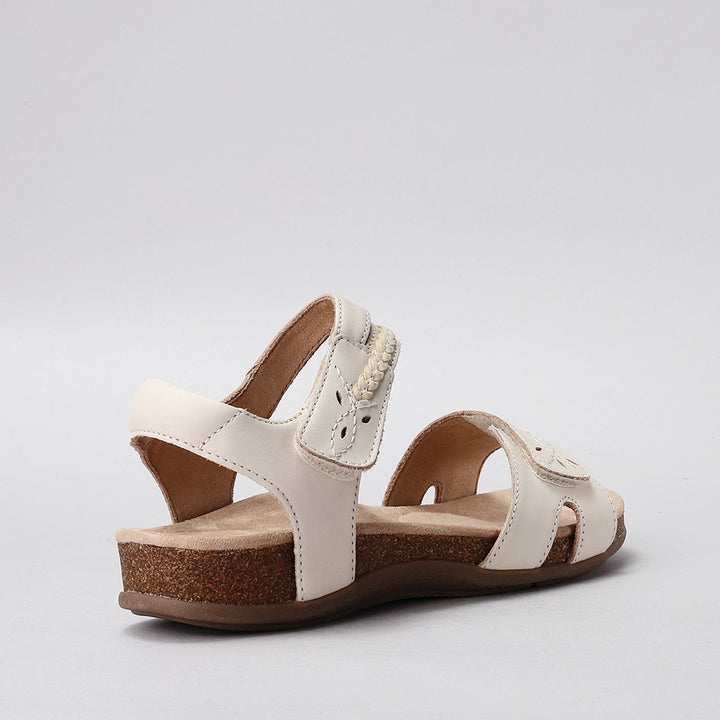 Ferro - Beige - CC Resorts