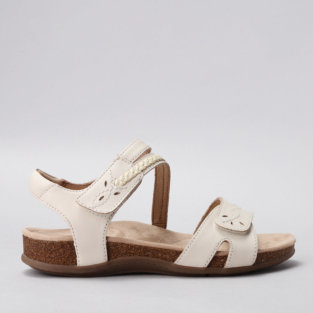 Ferro - Beige - CC Resorts