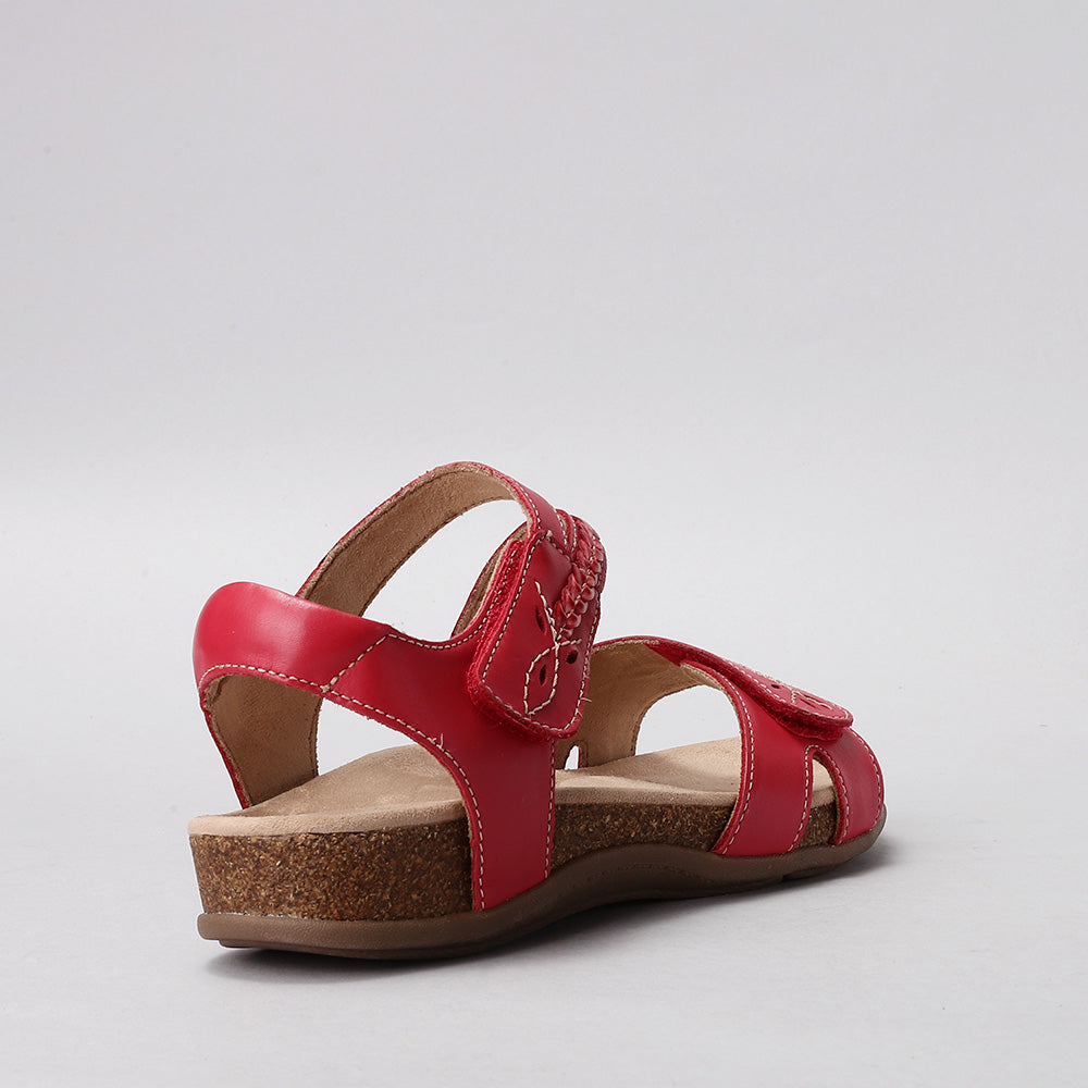 Ferro - Red - CC Resorts