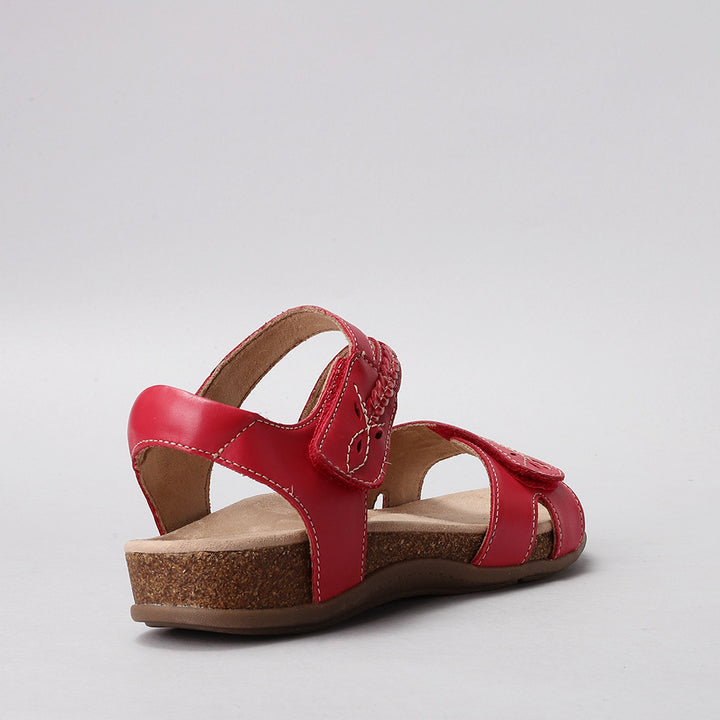 Ferro - Red - CC Resorts