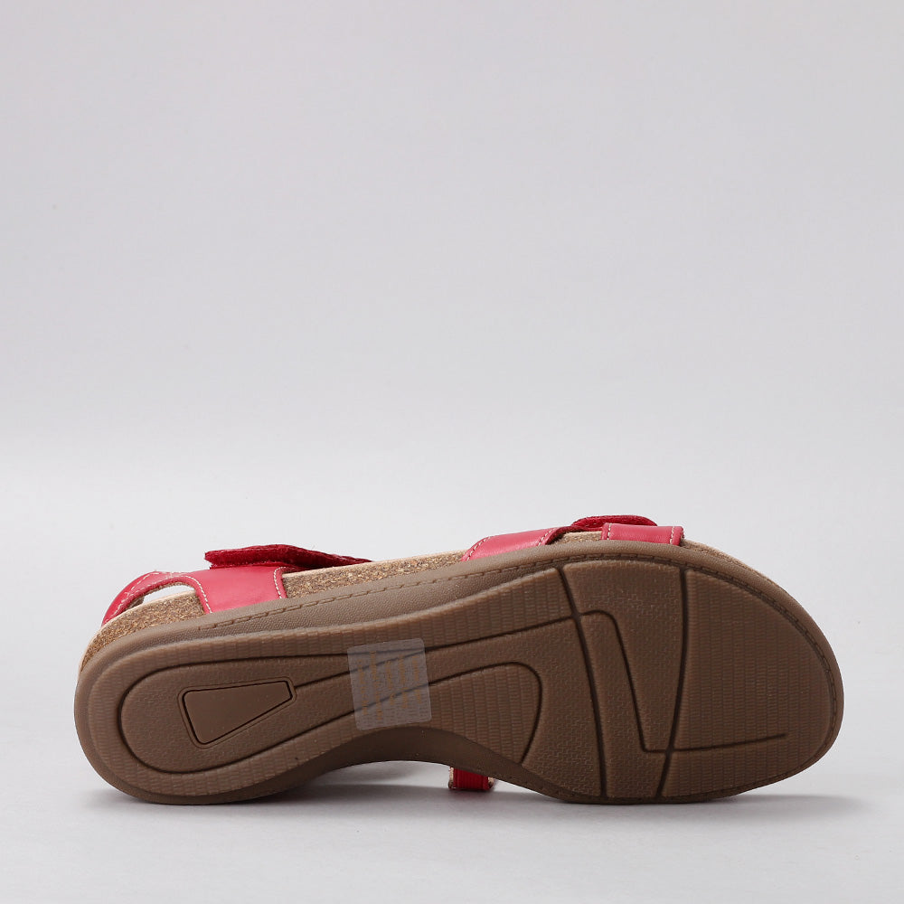 Ferro - Red - CC Resorts