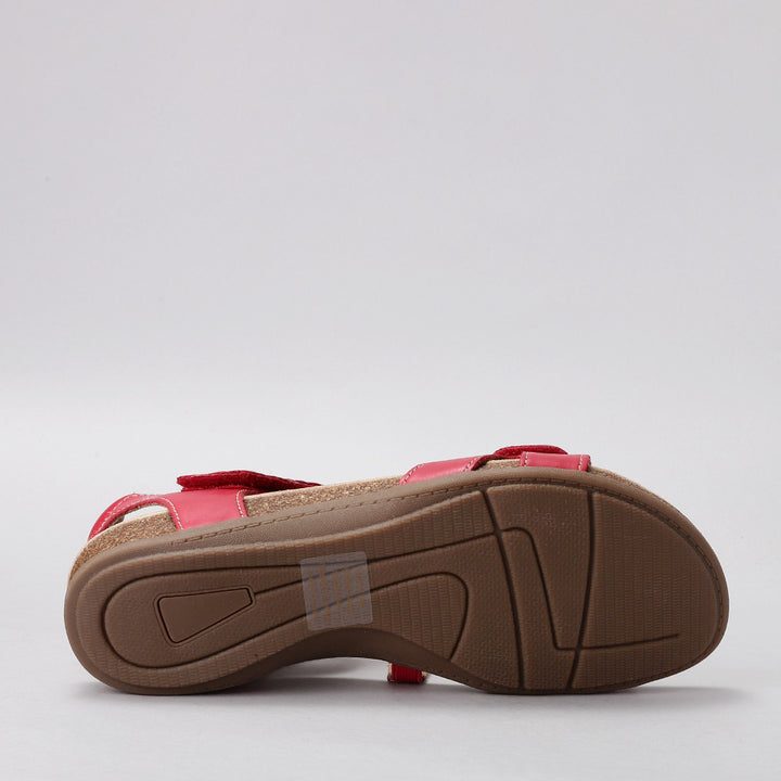 Ferro - Red - CC Resorts