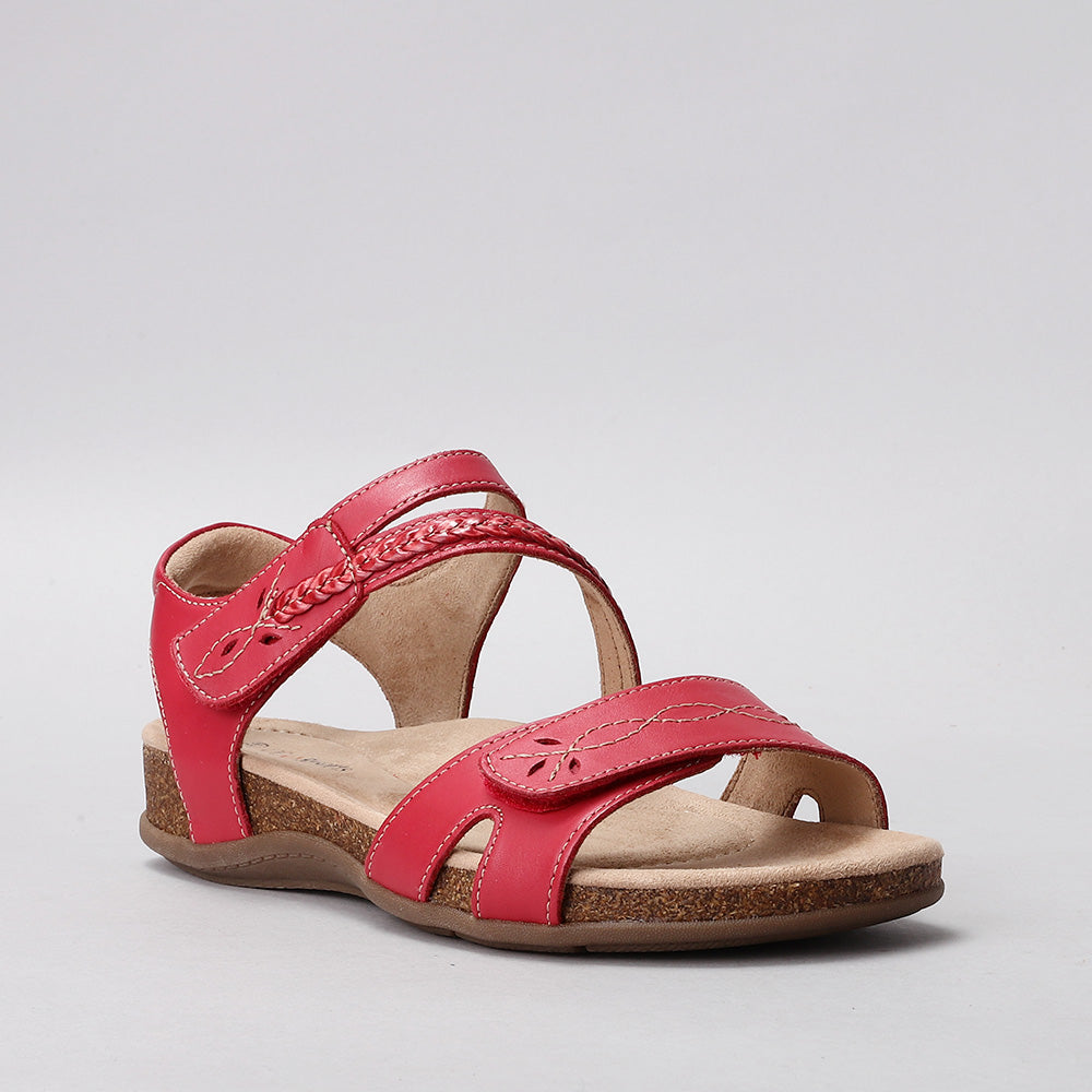 Ferro - Red - CC Resorts