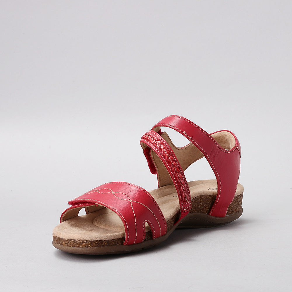 Ferro - Red - CC Resorts