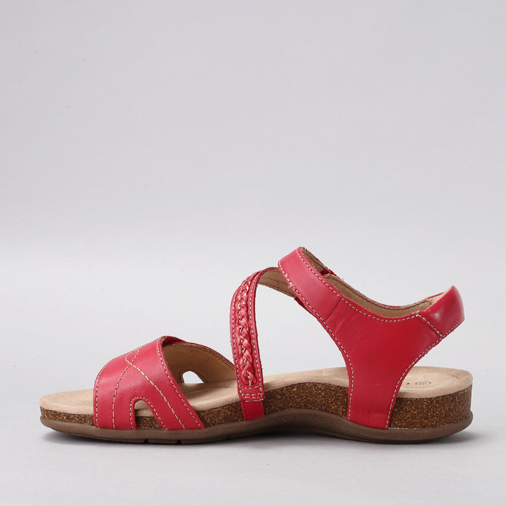 Ferro - Red - CC Resorts