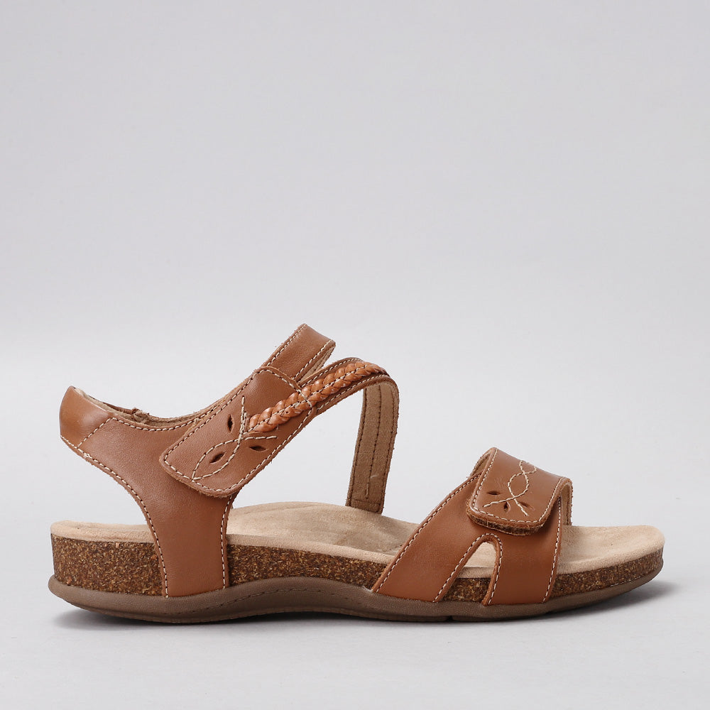 Ferro - Tan - CC Resorts