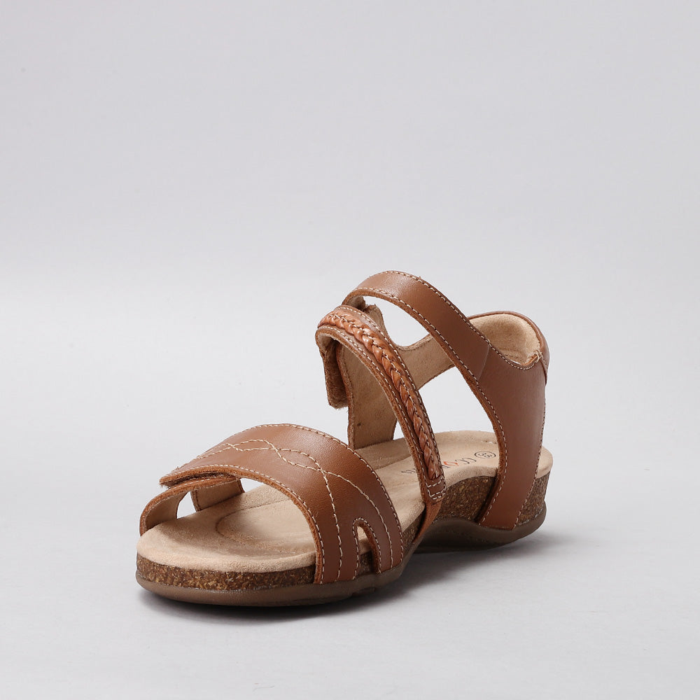 Ferro - Tan - CC Resorts