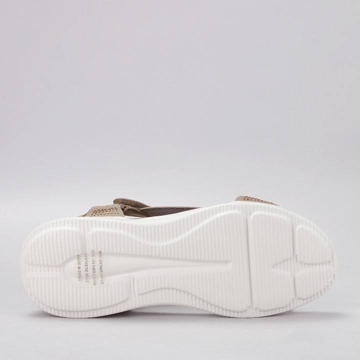 Floss - Taupe Diamante