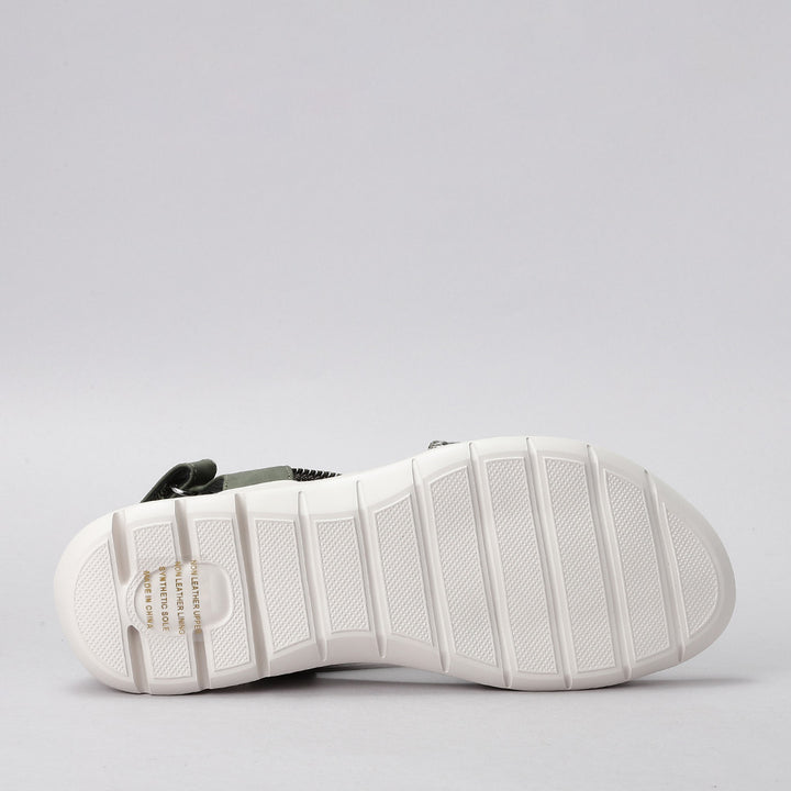 Flyta - Olive Multi - CC Resorts