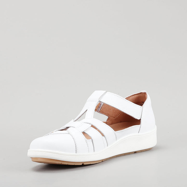 Nove - White