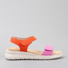 Penelope - Fuchsia/Orange