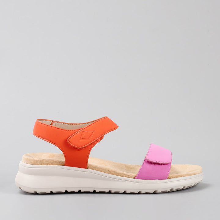 Penelope - Fuchsia/Orange