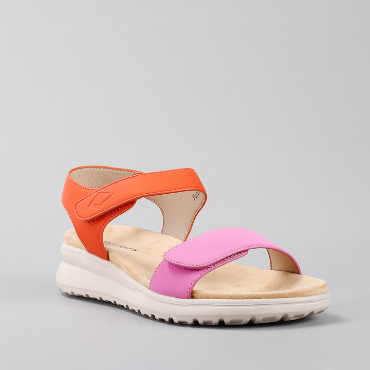 Penelope - Fuchsia/Orange