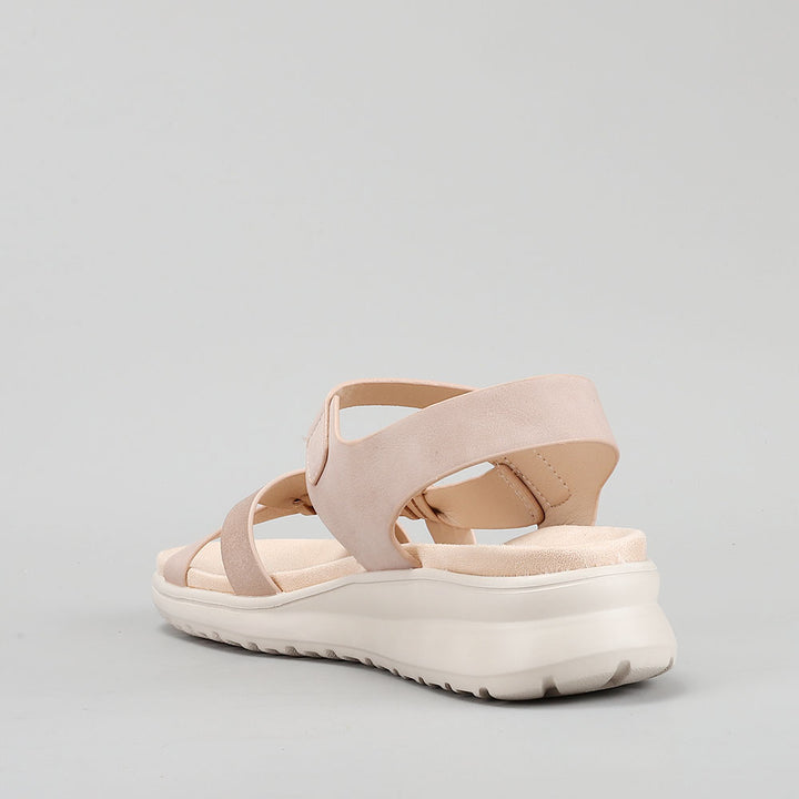 Penina - Blush