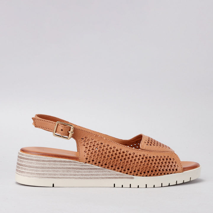 Terina - Tan - LE SANSA