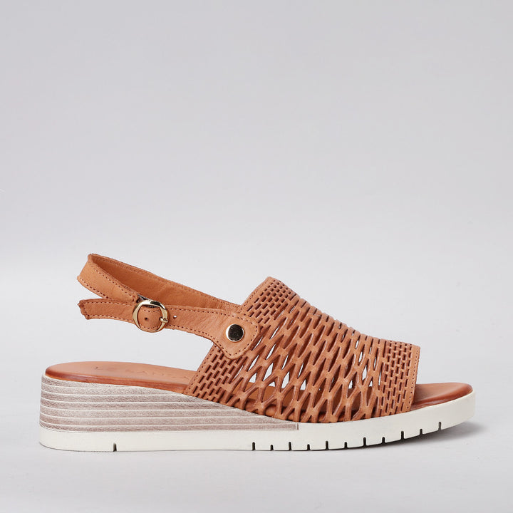 Topaz - Tan - LE SANSA