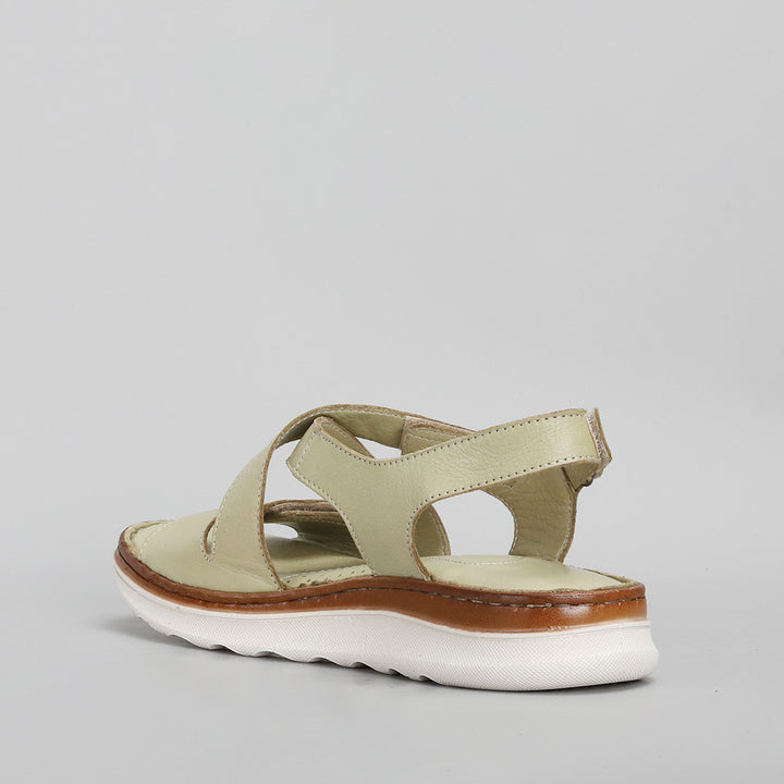 Zonga - Scorpion (Khaki) - LE SANSA