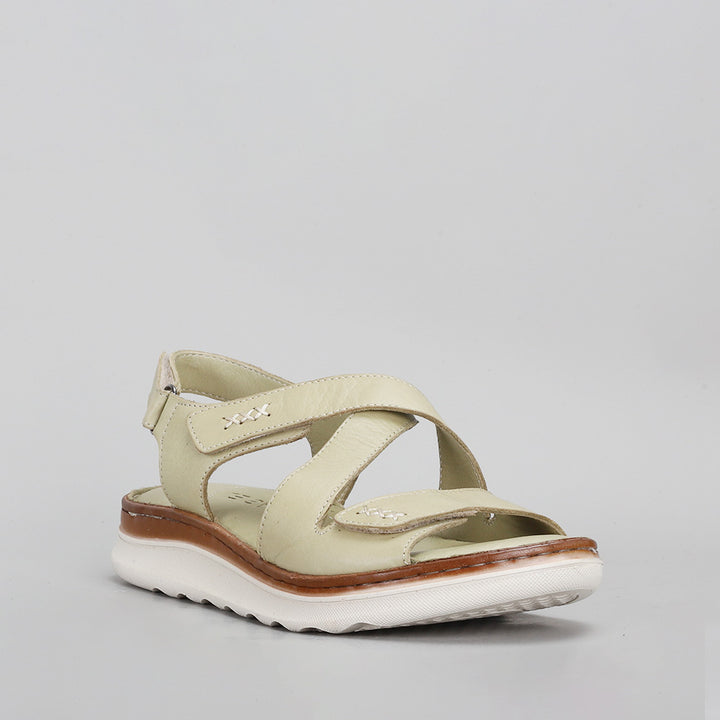 Zonga - Scorpion (Khaki) - LE SANSA