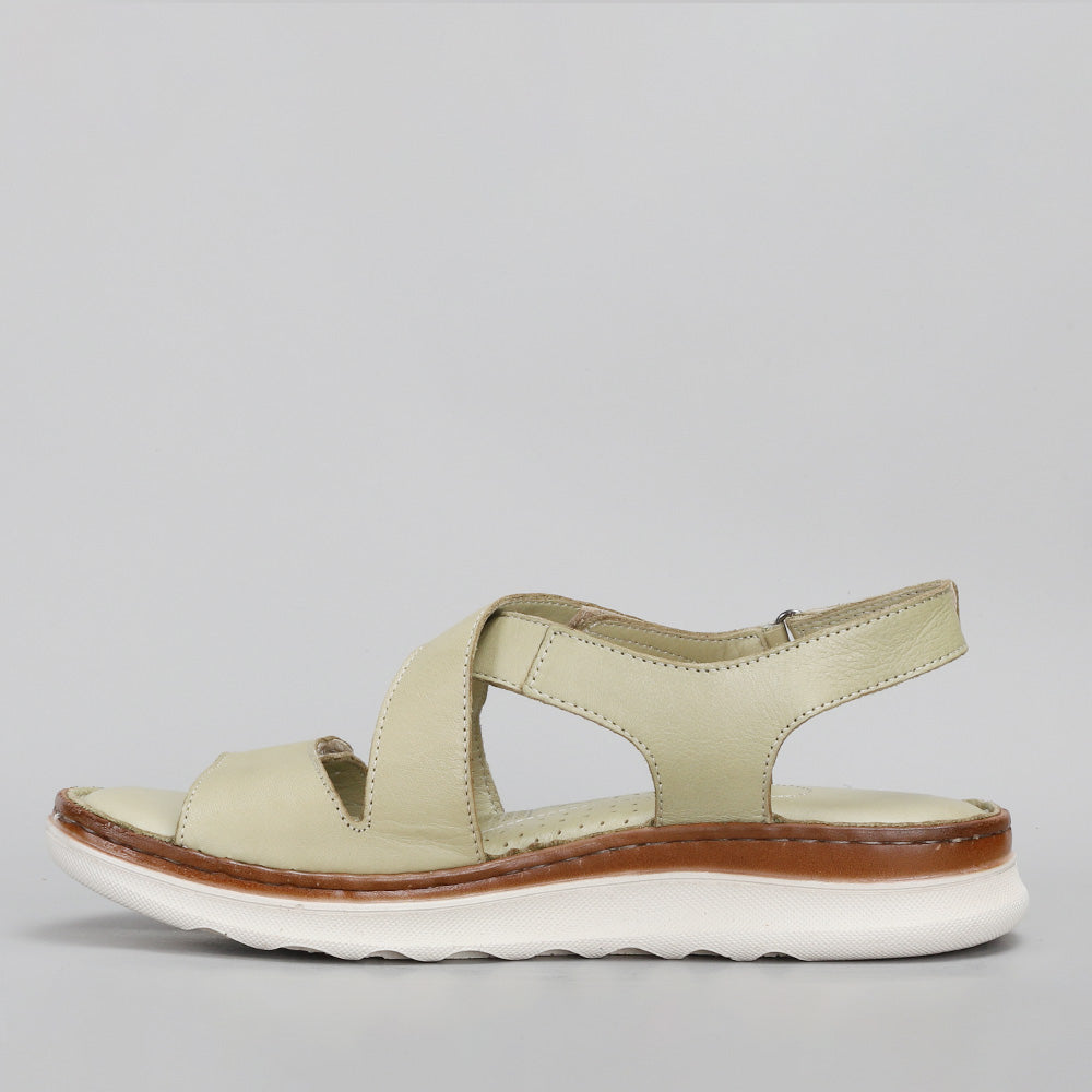 Zonga - Scorpion (Khaki) - LE SANSA