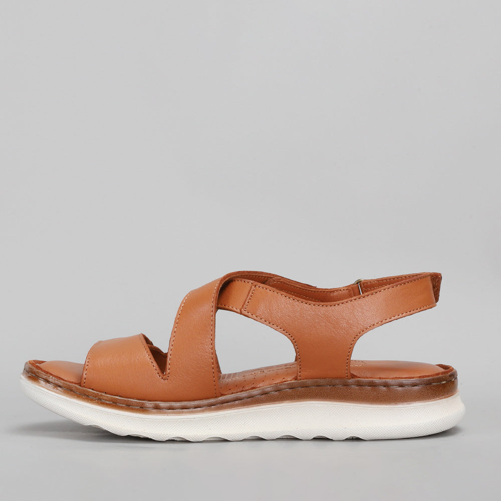 Zonga - Tan - LE SANSA